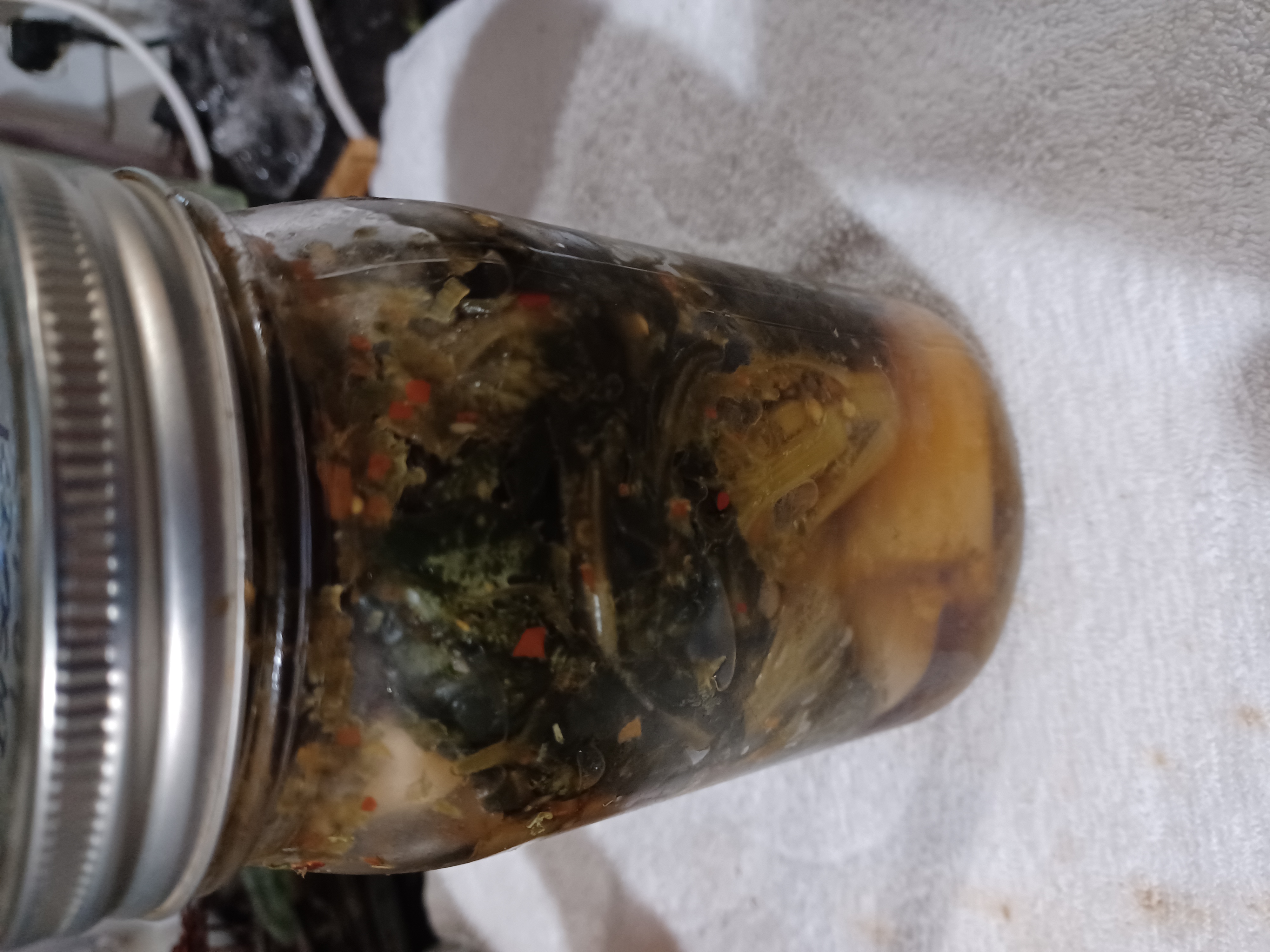 Kimchi