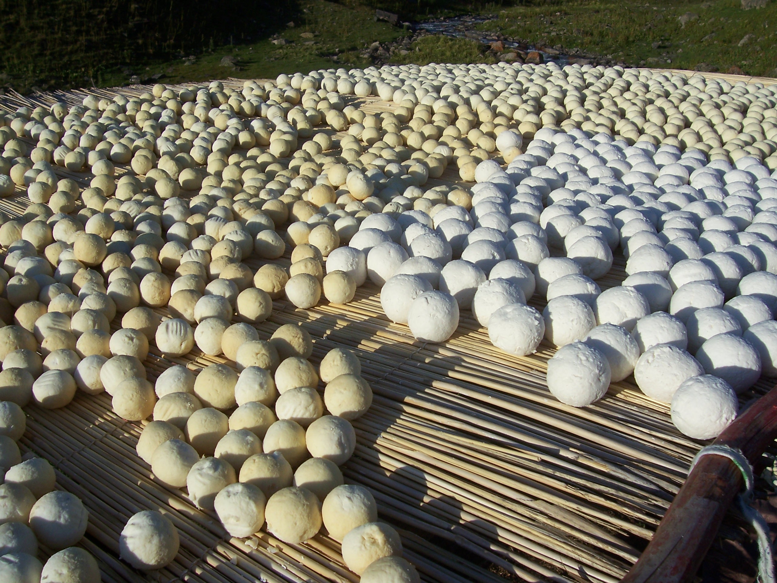 Qurut (Kurut)