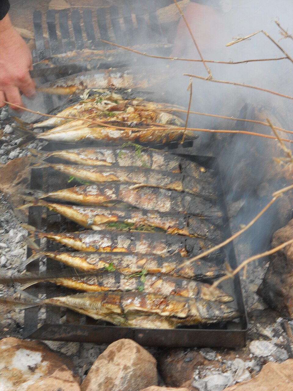 Maquereaux grillés à la moutarde