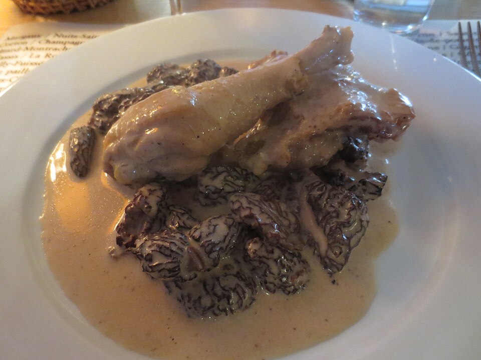 Poulet aux champignons sauvages et vin jaune